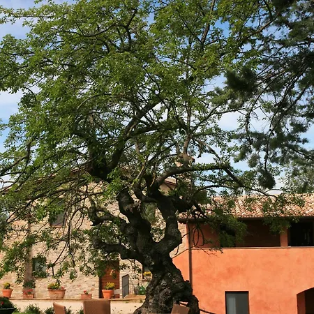 カントリーハウス La Tenuta Dei Ricordi