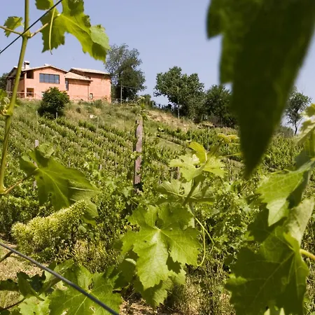La Tenuta Dei Ricordi * Castel Ritaldi